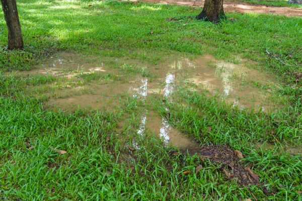Storm Water Drainage Service in Clearwater