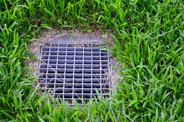 Yard Water Drainage in Clearwater