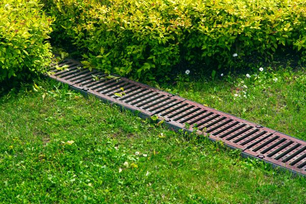Lawn Drainage in Clearwater