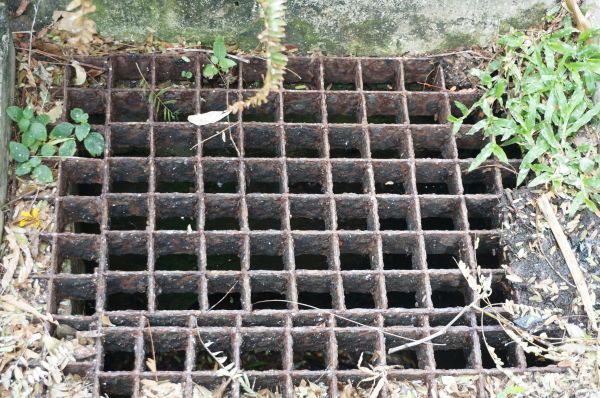 Yard Drain Cleaning in Clearwater