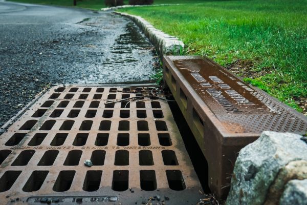 Cost of Storm Drain Repair in Clearwater