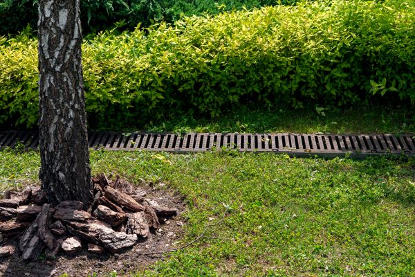 Garden Drainage Installation in Clearwater