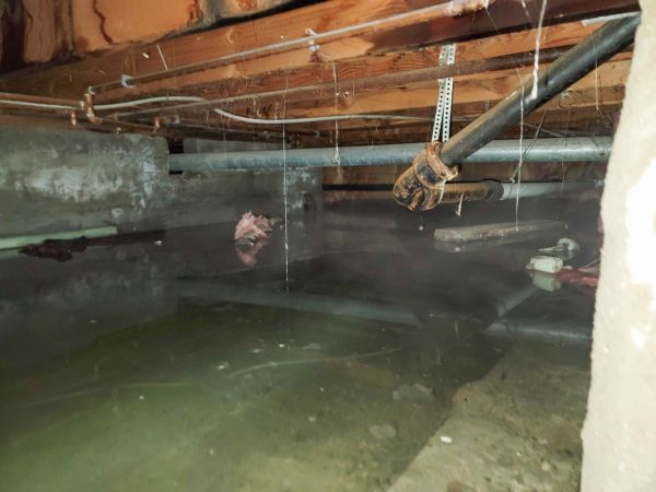 Cost of Crawlspace Drainage in Clearwater
