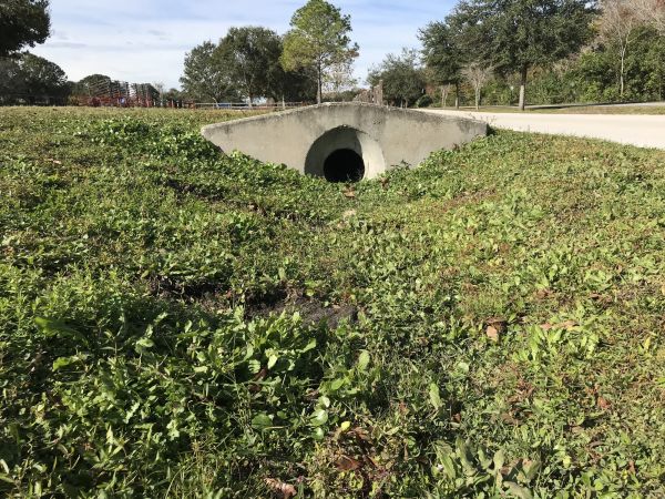 Cost of Swale Drainage Service in Clearwater